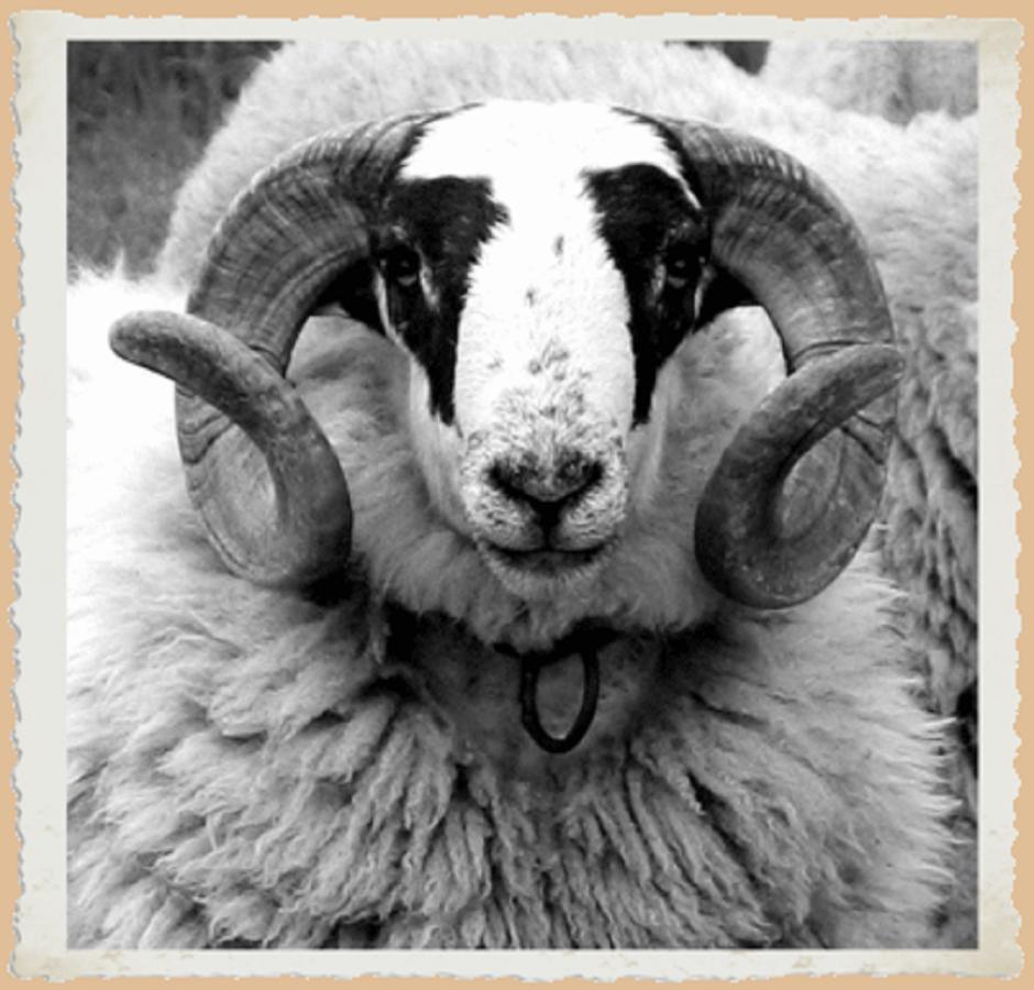 L'Hotel Du Mouton Blanc Fresne-Saint-Mames ภายนอก รูปภาพ